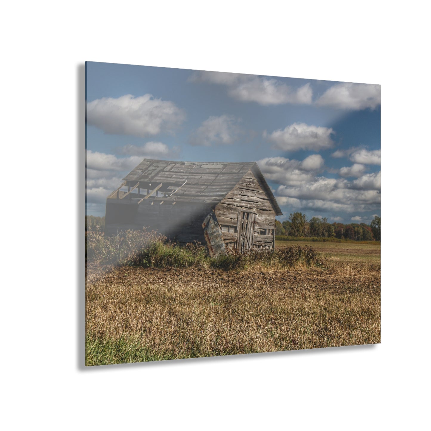 U R There Photography Freiberger Road Little Grey Shack Rustic Farmhouse Acrylic Wall Print