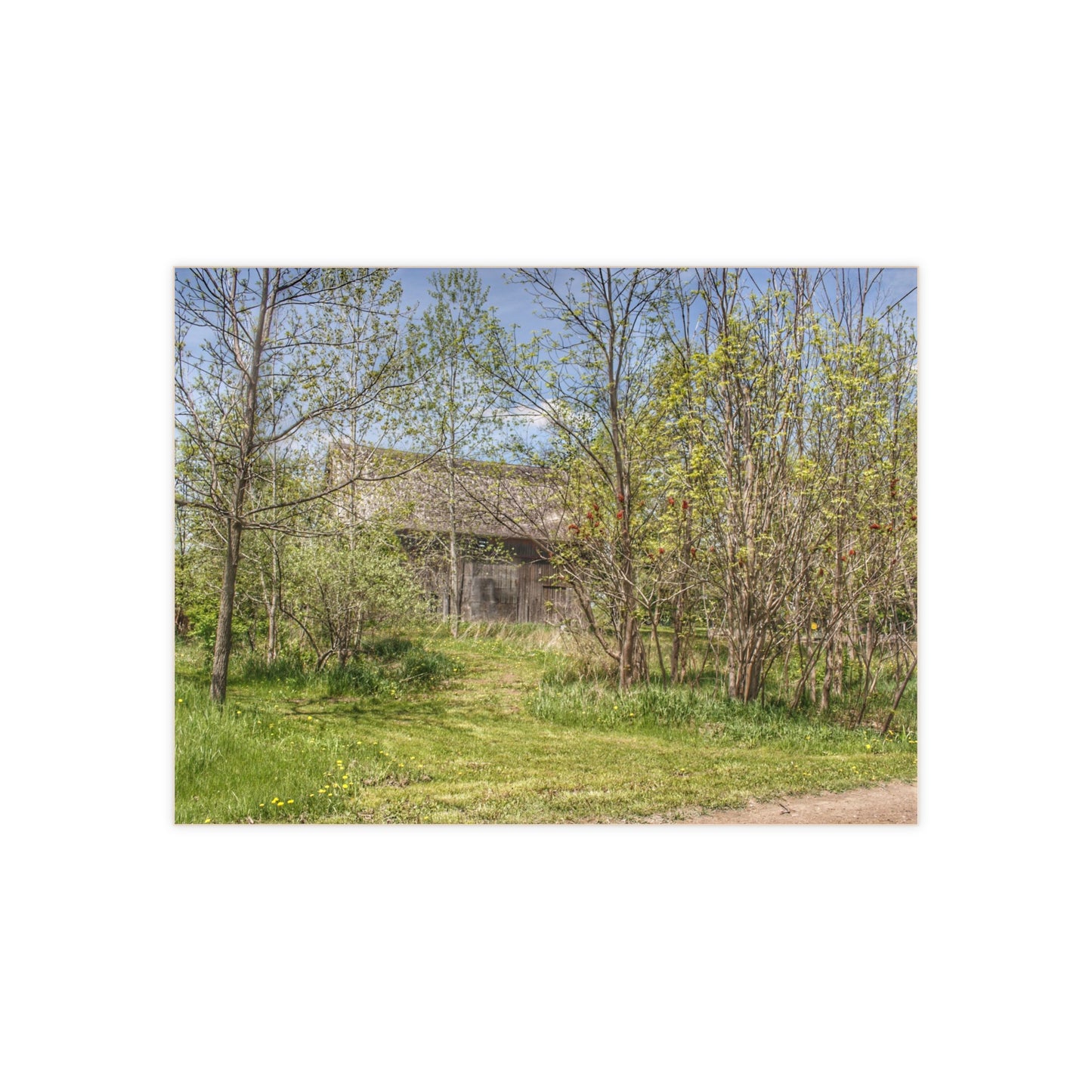 U R There Photography Bishop Road Grey I Rustic Farmhouse Decorative Ceramic Tile