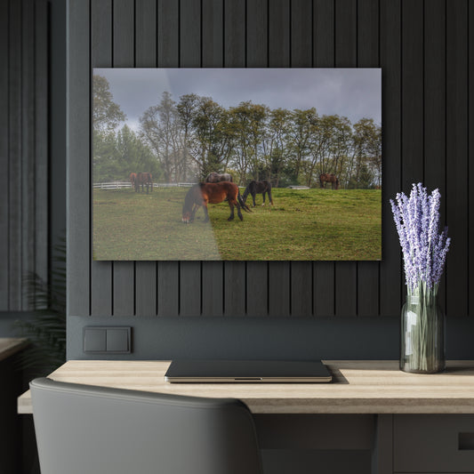 Barn Boutique Modern Farmhouse Acrylic Wall Print| Delano Ponies