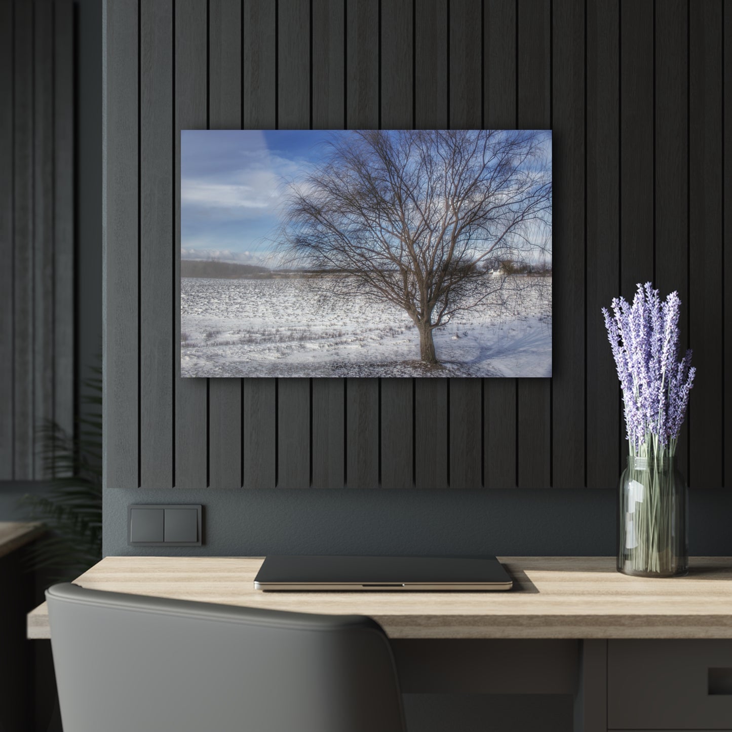 U R There Photography Winter Farm Willow Tree Rustic Farmhouse Acrylic Wall Print