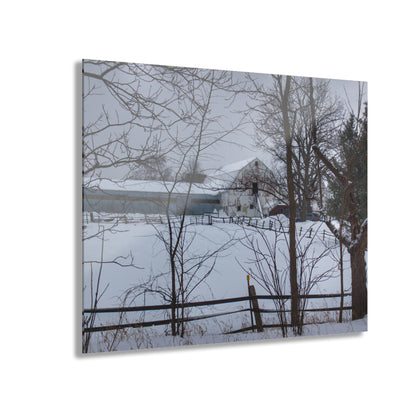 U R There Photography Oakwood Hidden White Rustic Farmhouse Acrylic Wall Print