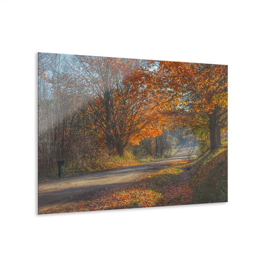 U R There Photography Fall on Oak Road Rustic Farmhouse Acrylic Wall Print