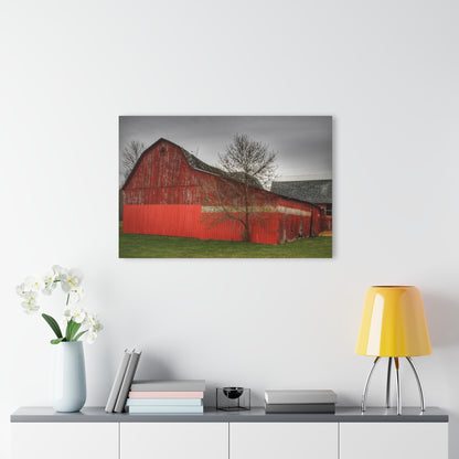 U R There Photography Almont Reds Rustic Farmhouse Acrylic Wall Print