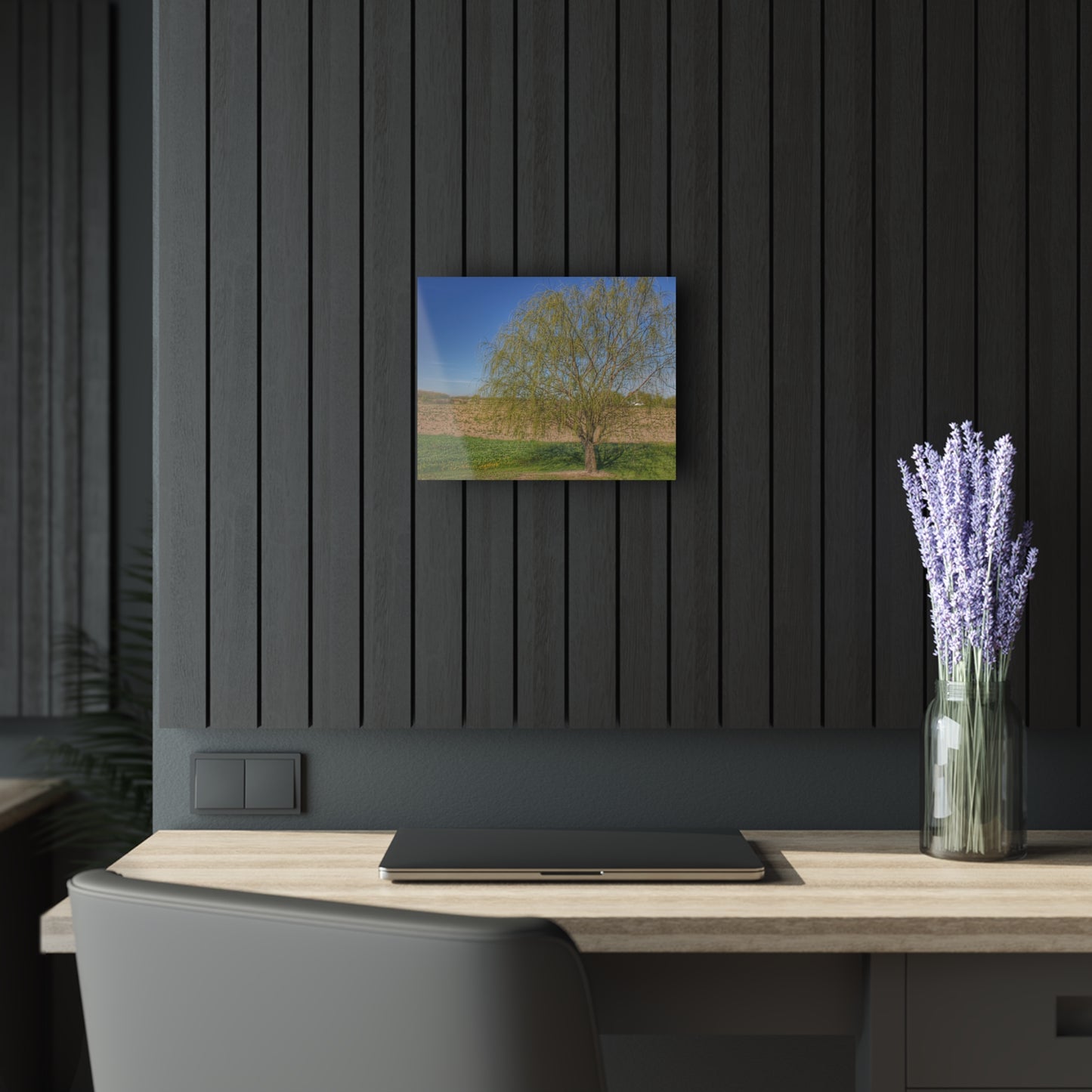 U R There Photography Spring Farm Willow Tree Rustic Farmhouse Acrylic Wall Print