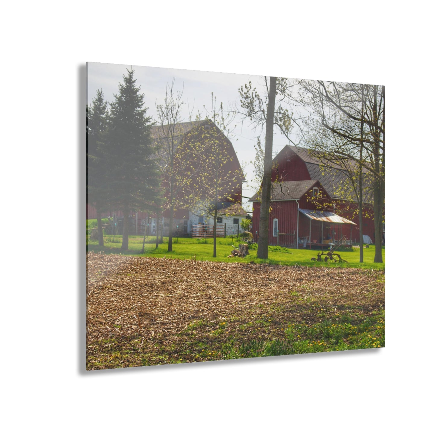 U R There Photography Bishop Road Reds III Rustic Farmhouse Acrylic Wall Print