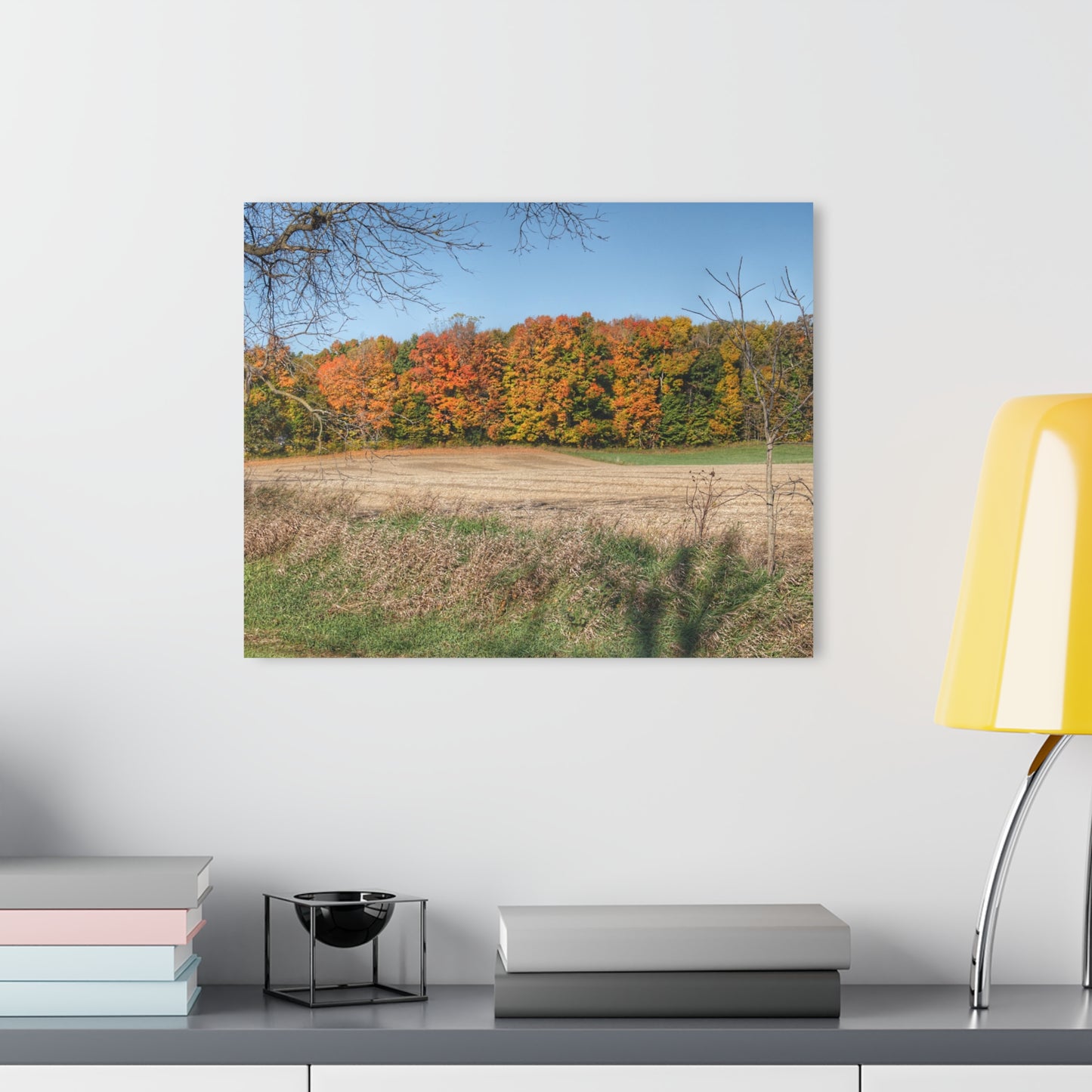 Barn Boutique Modern Farmhouse Acrylic Wall Print| Fall on Piersonville Road