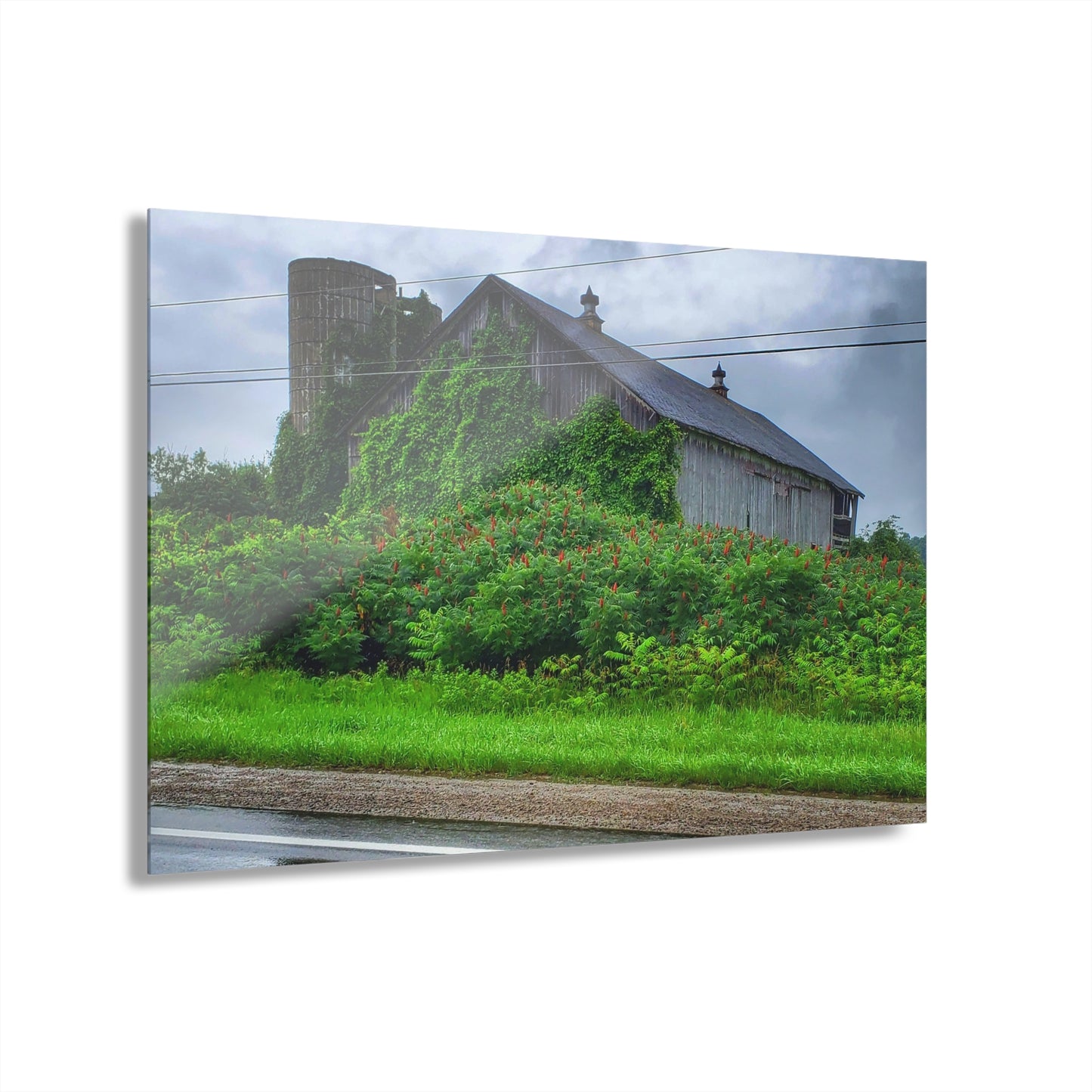 U R There Photography Metamora M-24 Grey IV Rustic Farmhouse Acrylic Wall Print