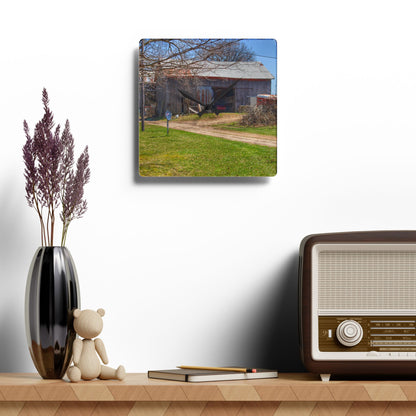 U R There Photography Lee Hill Greys Rustic Farmhouse Acrylic Analog Wall Clock