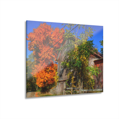 U R There Photography Oxford Rusted Red in Fall Rustic Farmhouse Acrylic Wall Print