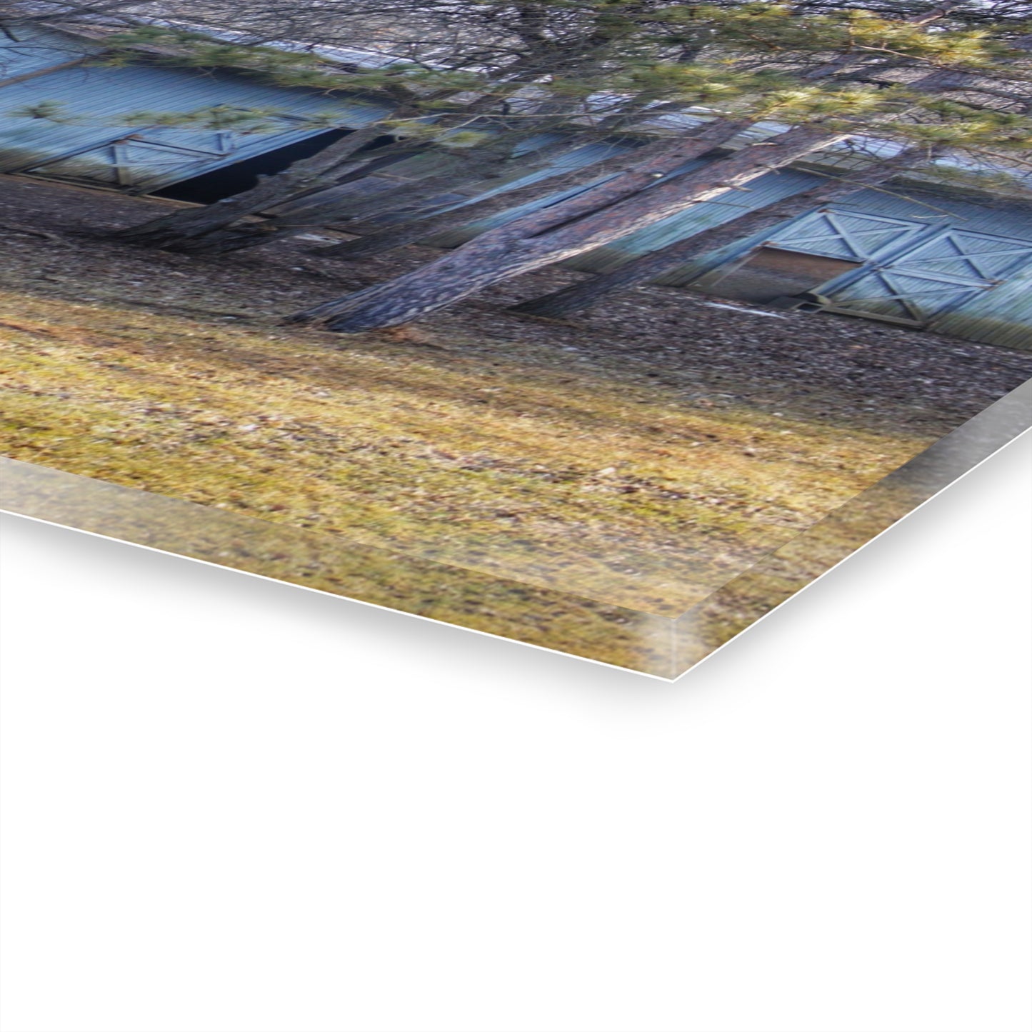 U R There Photography Hickory Lane Grey Rustic Farmhouse Acrylic Wall Print