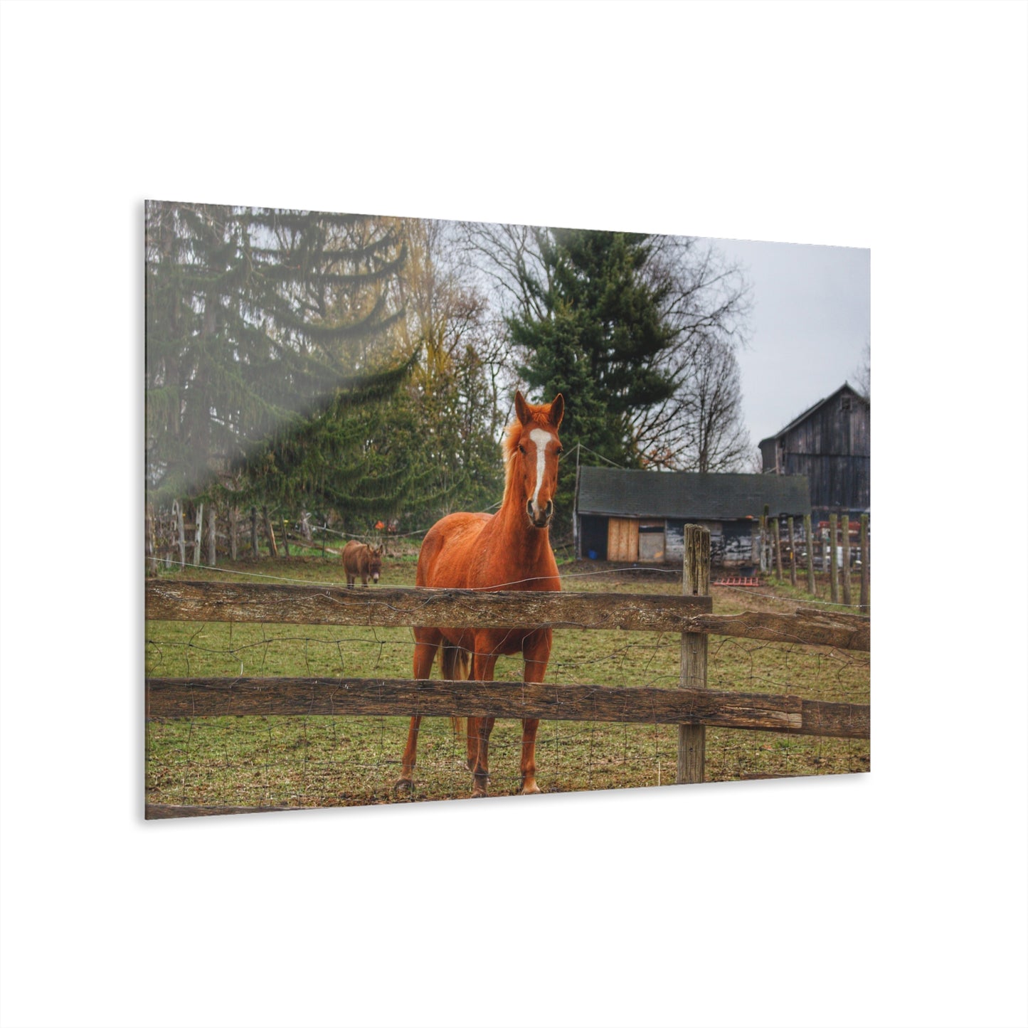 U R There Photography South Summers Road Old Grey and Caramel I Rustic Farmhouse Acrylic Wall Print