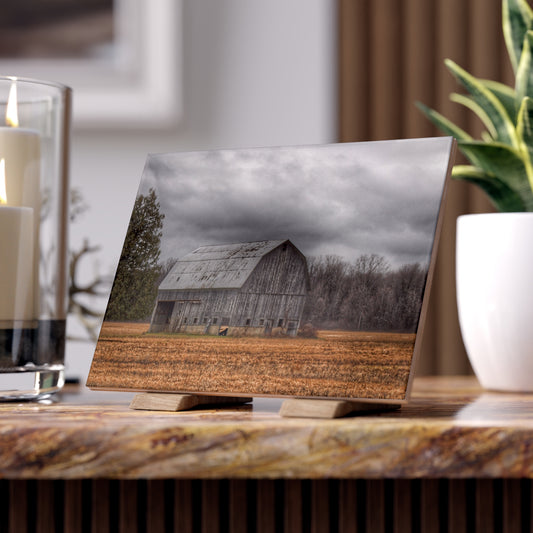 U R There Photography Grey Barn and Tree Rustic Farmhouse Decorative Ceramic Tile