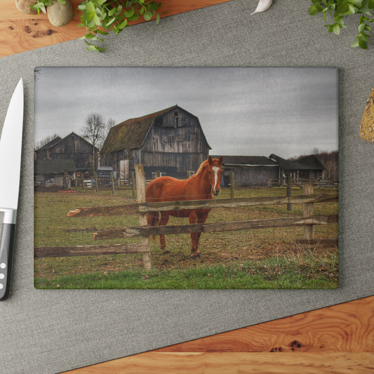U R There Photography South Summers Road Old Grey and Caramel IV Rustic Farmhouse Tempered-Glass Cutting Board