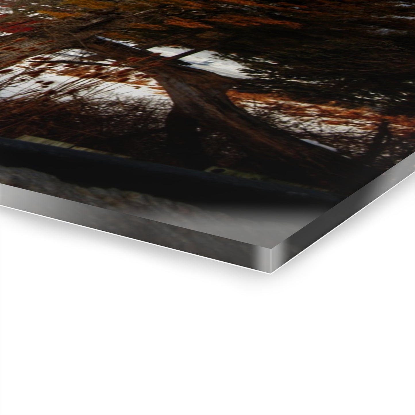 U R There Photography Hadley Road Hidden Red in Winter Rustic Farmhouse Acrylic Wall Print