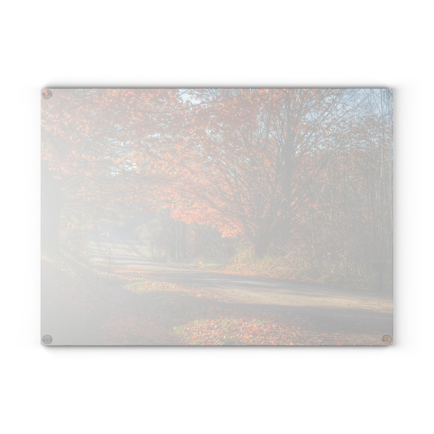 U R There Photography Fall on Oak Road Rustic Farmhouse Tempered-Glass Cutting Board