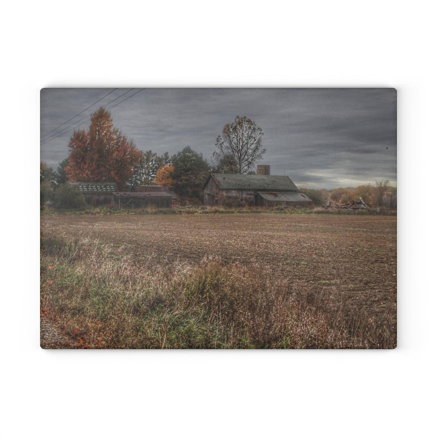 Barn Boutique Rustic Tempered-Glass Cutting Board| Birch Run Road Greys II