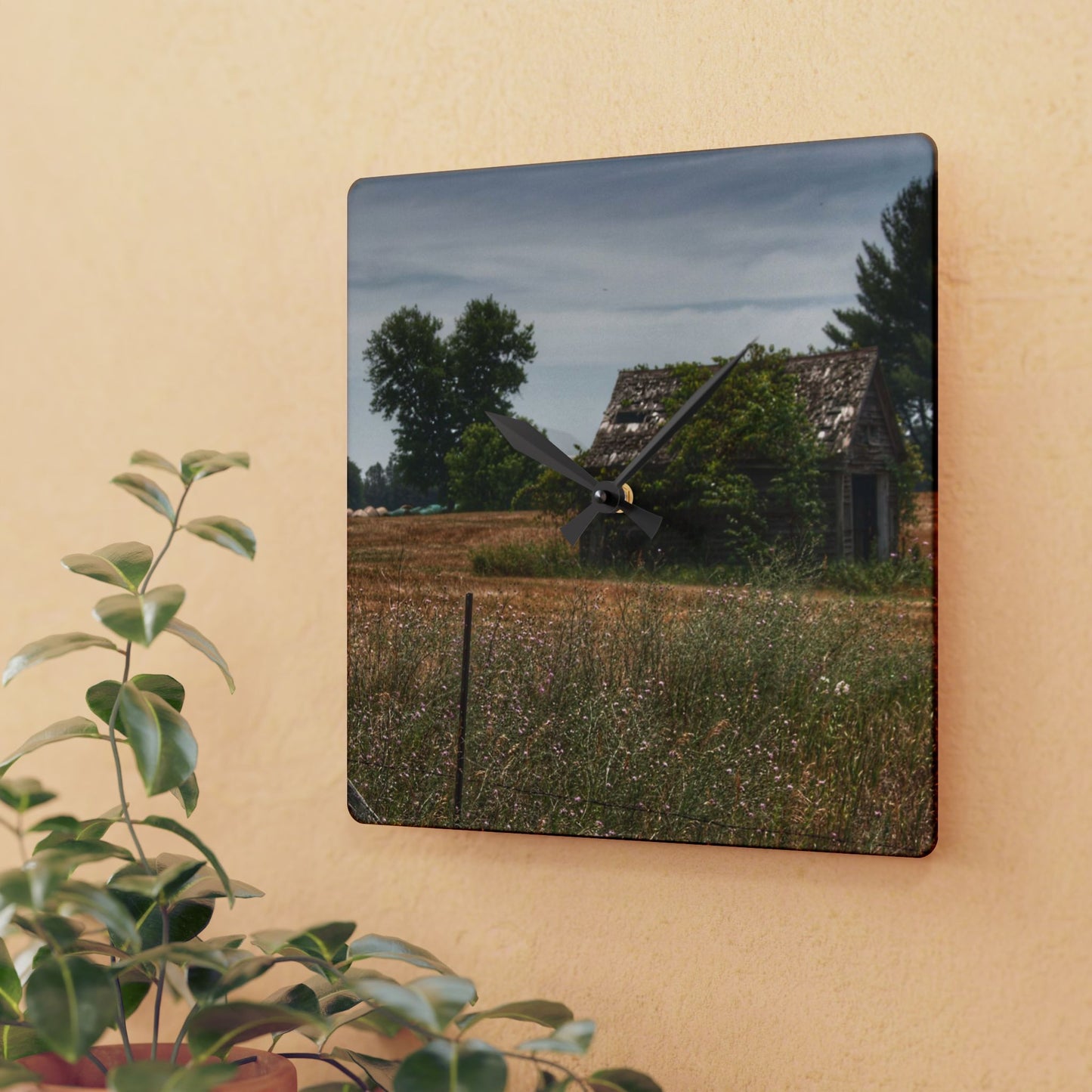 U R There Photography Waterman Road Shack Beyond the Fence Rustic Farmhouse Acrylic Analog Wall Clock