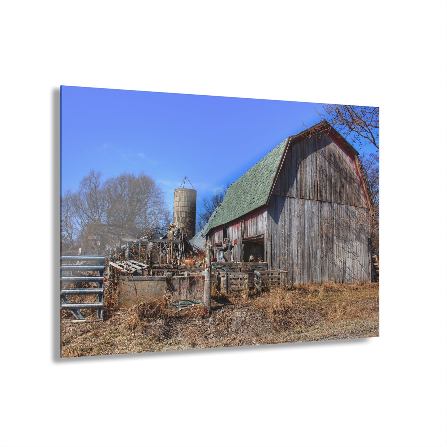 U R There Photography Romeo Plank Road Forgotten Greys Rustic Farmhouse Acrylic Wall Print