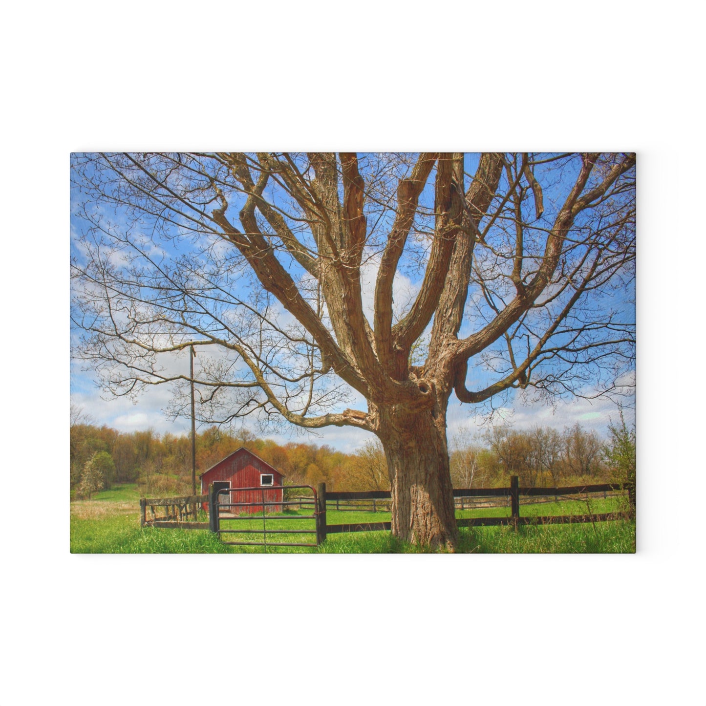 U R There Photography Delano Oak and Little Red Rustic Farmhouse Tempered-Glass Cutting Board