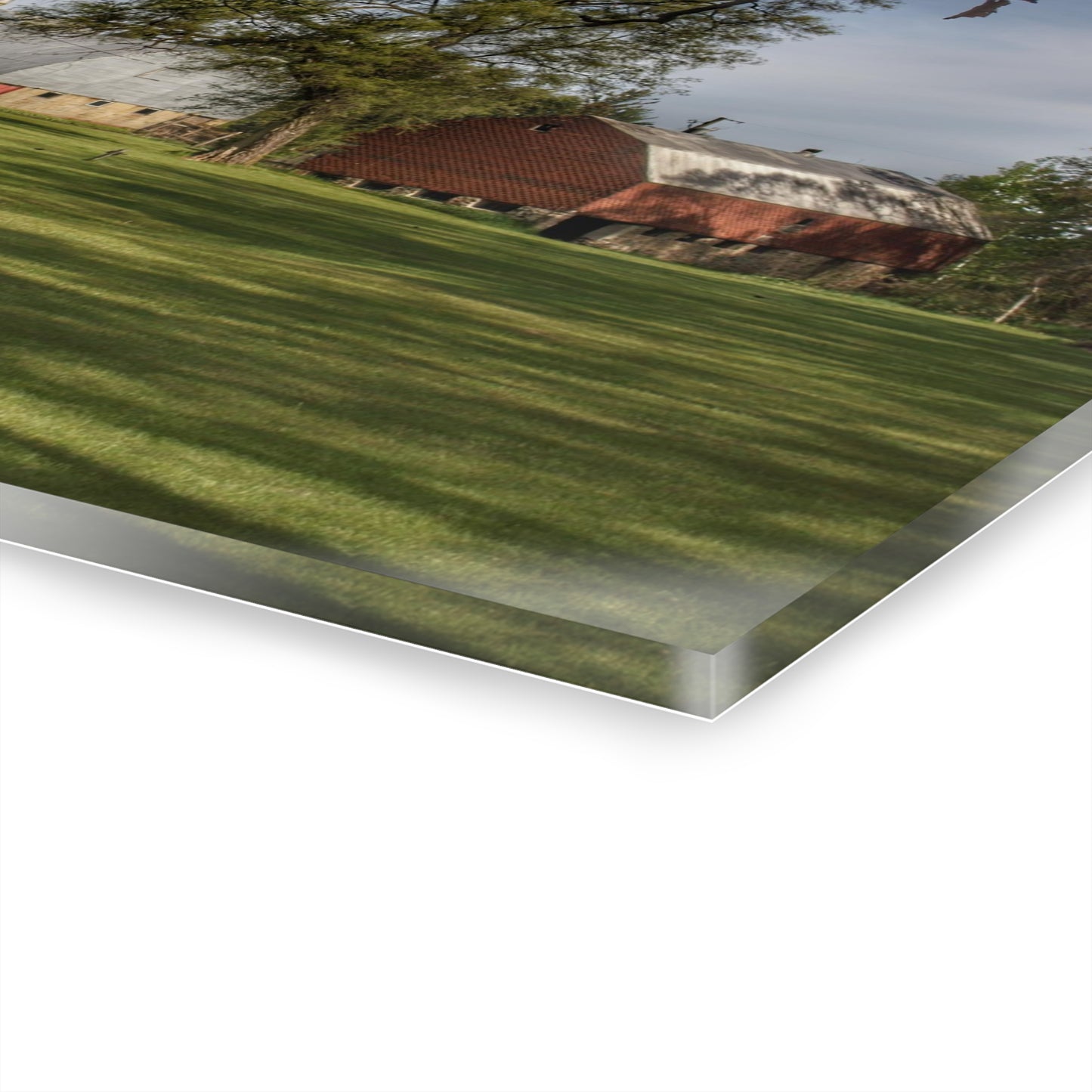 U R There Photography Clark Park Road Reds Rustic Farmhouse Acrylic Wall Print