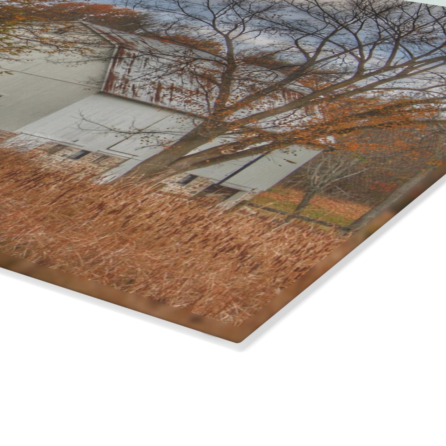 U R There Photography East Oakwood White Rustic Farmhouse Tempered-Glass Cutting Board