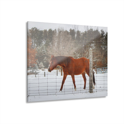 U R There Photography Roadside Chestnut Rustic Farmhouse Acrylic Wall Print