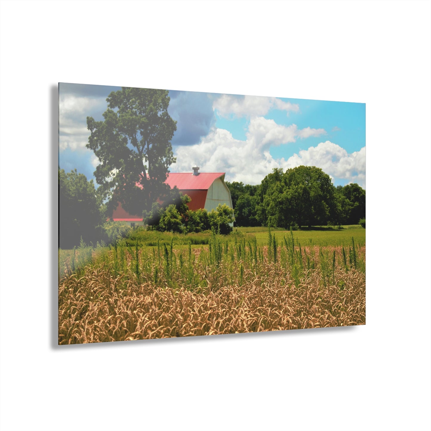 U R There Photography Northern White Rustic Farmhouse Acrylic Wall Print