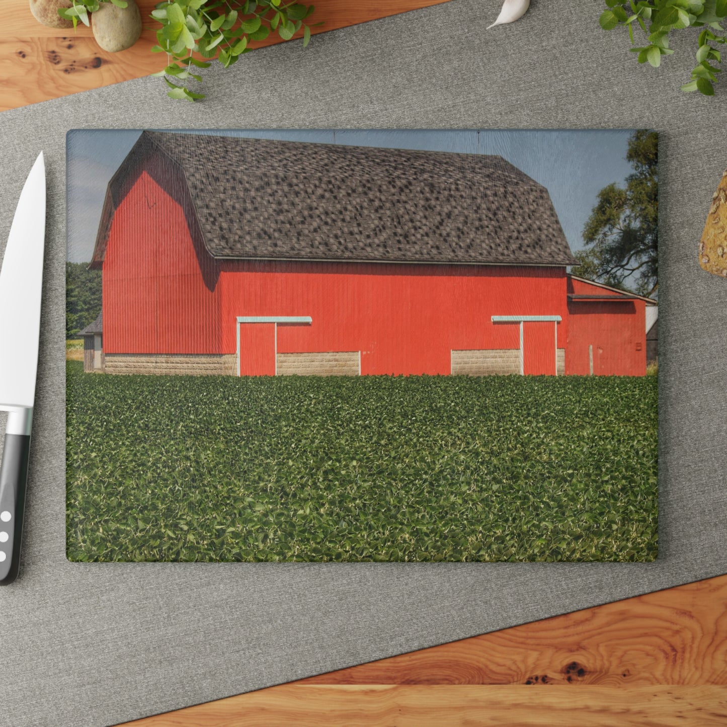 U R There Photography Elba Red I Rustic Farmhouse Tempered-Glass Cutting Board