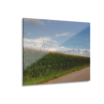 U R There Photography Gilford Road Corn Row Rustic Farmhouse Acrylic Wall Print