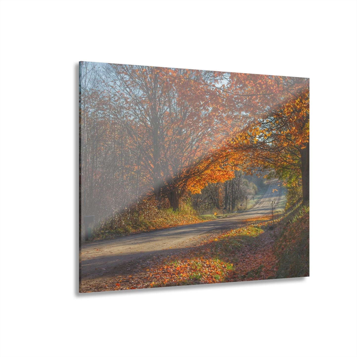 U R There Photography Fall on Oak Road Rustic Farmhouse Acrylic Wall Print