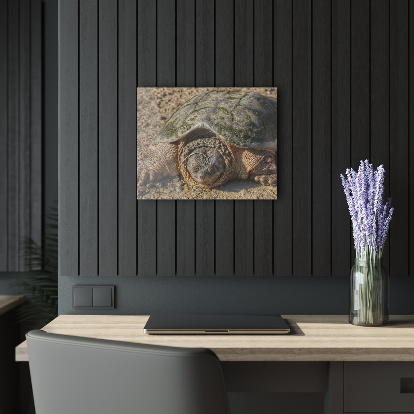U R There Photography Fargo Road Turtle Rustic Farmhouse Acrylic Wall Print