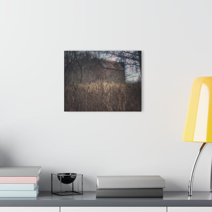 U R There Photography Mayville Hidden Barn I Rustic Farmhouse Acrylic Wall Print