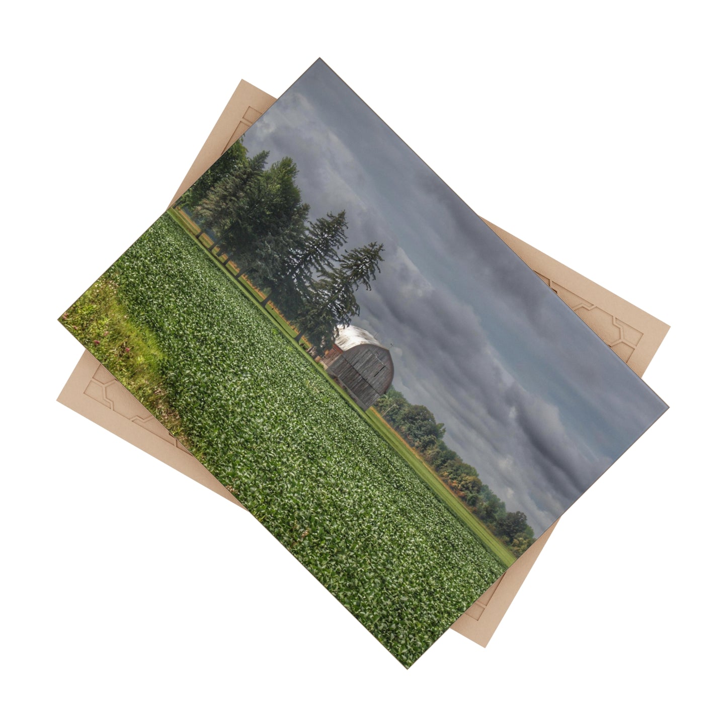 U R There Photography Belsay Grey Among the Pines Rustic Farmhouse Decorative Ceramic Tile