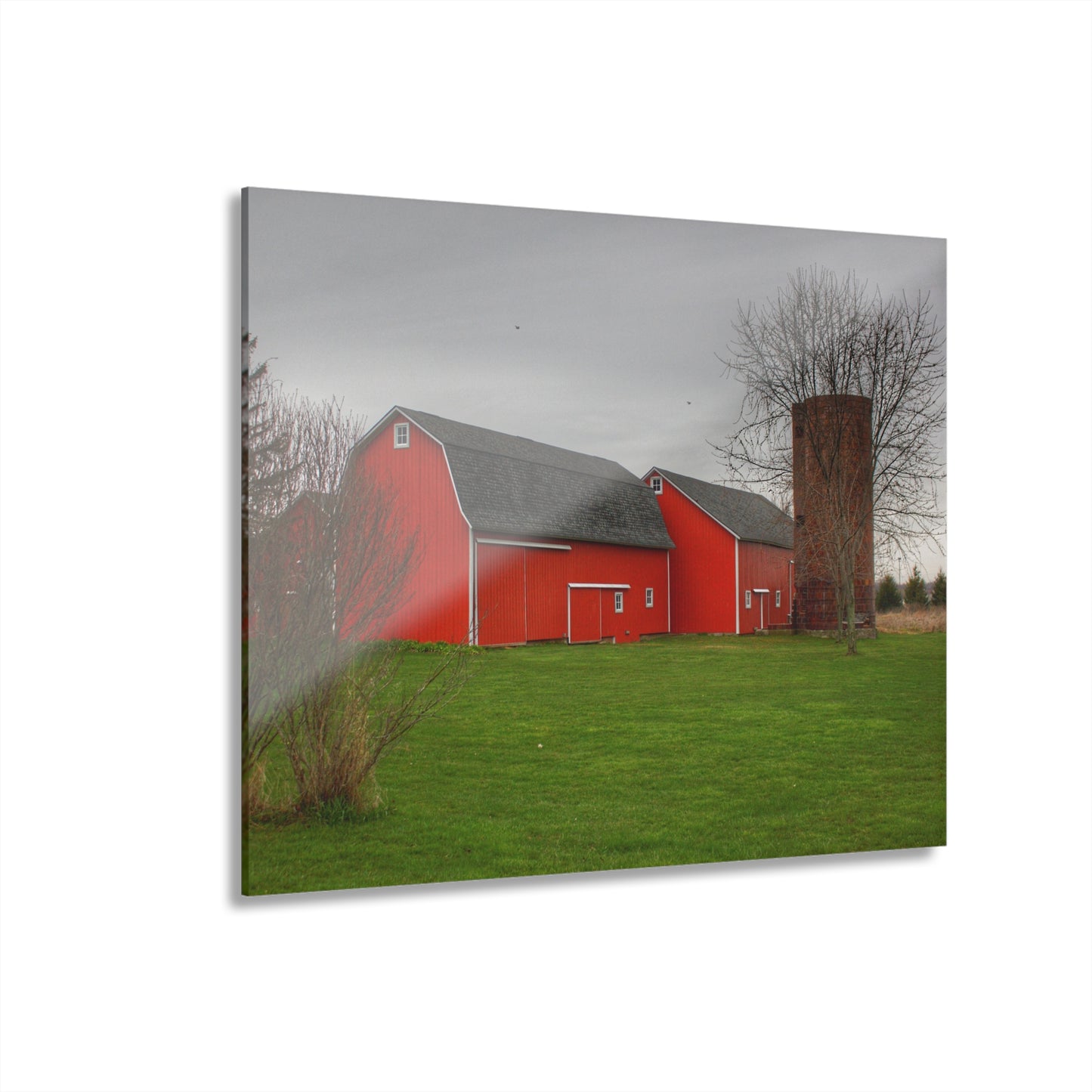 Barn Boutique Modern Farmhouse Acrylic Wall Print| Hough Road Reds III