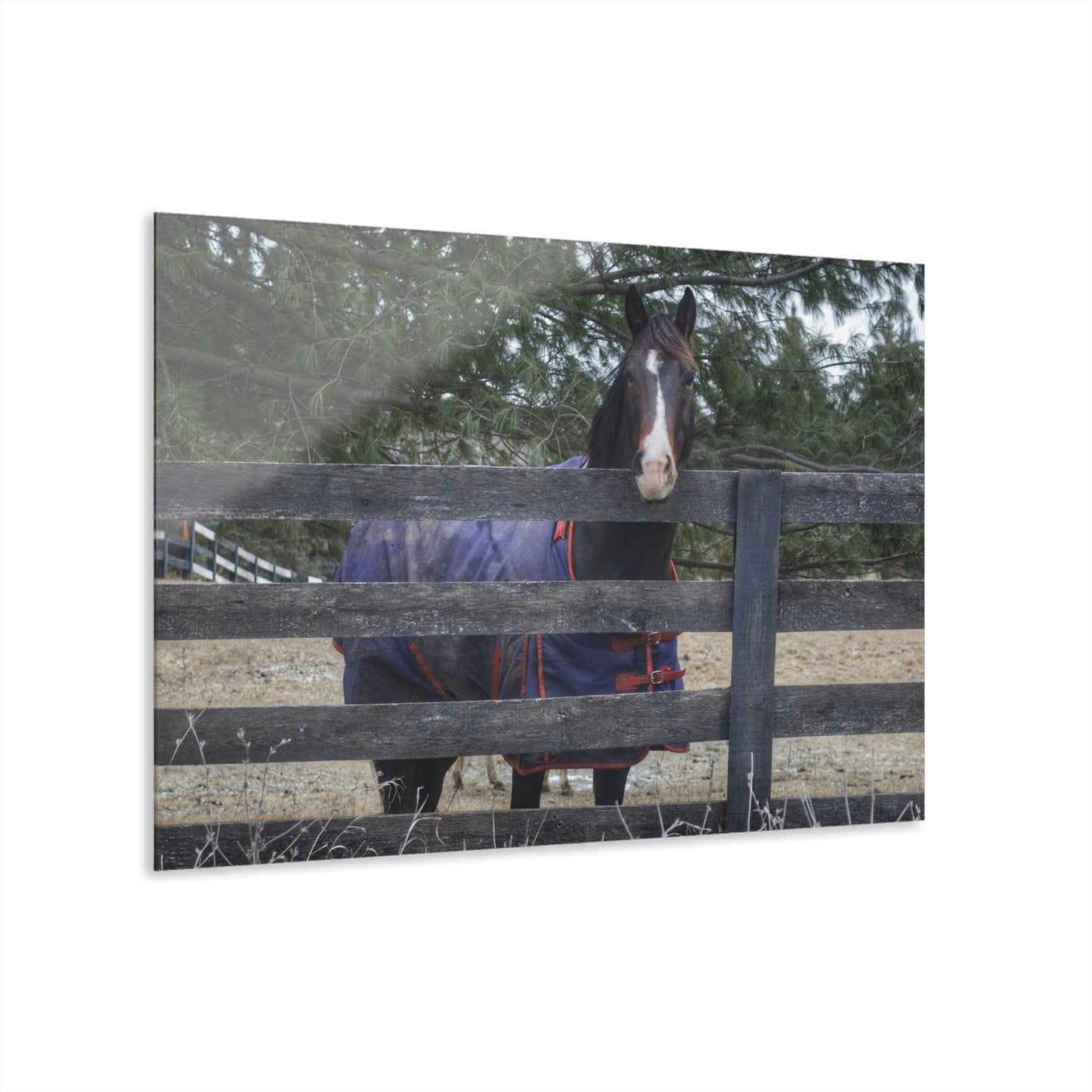 U R There Photography Hosner Road Chestnut Rustic Farmhouse Acrylic Wall Print