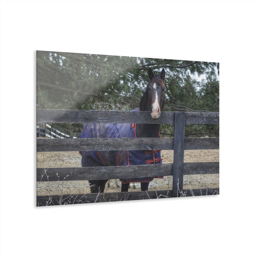 U R There Photography Hosner Road Chestnut Rustic Farmhouse Acrylic Wall Print