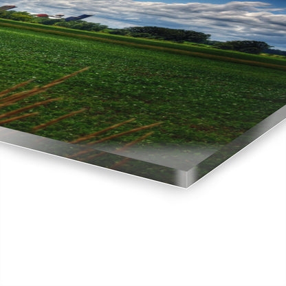 U R There Photography Farm from a Distance Rustic Farmhouse Acrylic Wall Print