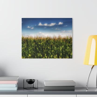 U R There Photography Sky-High Corn Rustic Farmhouse Acrylic Wall Print