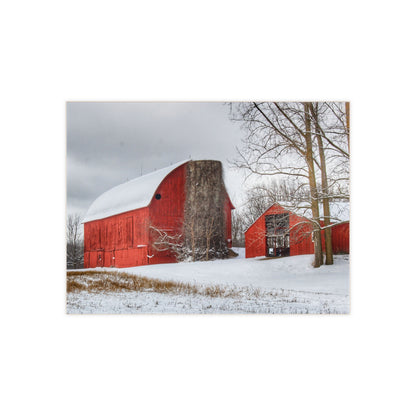 U R There Photography Catlin Reds in Winter I Rustic Farmhouse Decorative Ceramic Tile