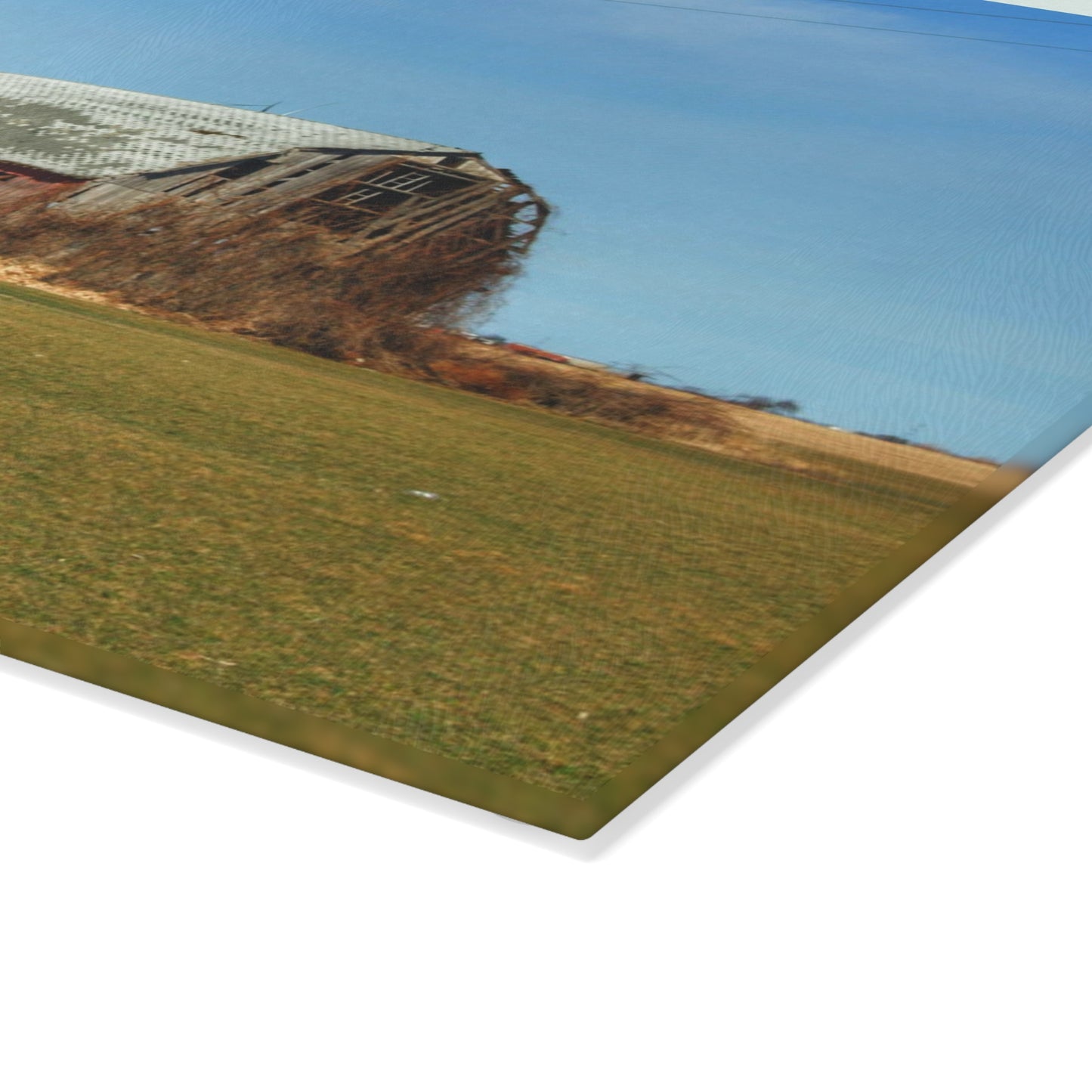 U R There Photography Bay City - Forestville Forgotten Grey Rustic Farmhouse Tempered-Glass Cutting Board