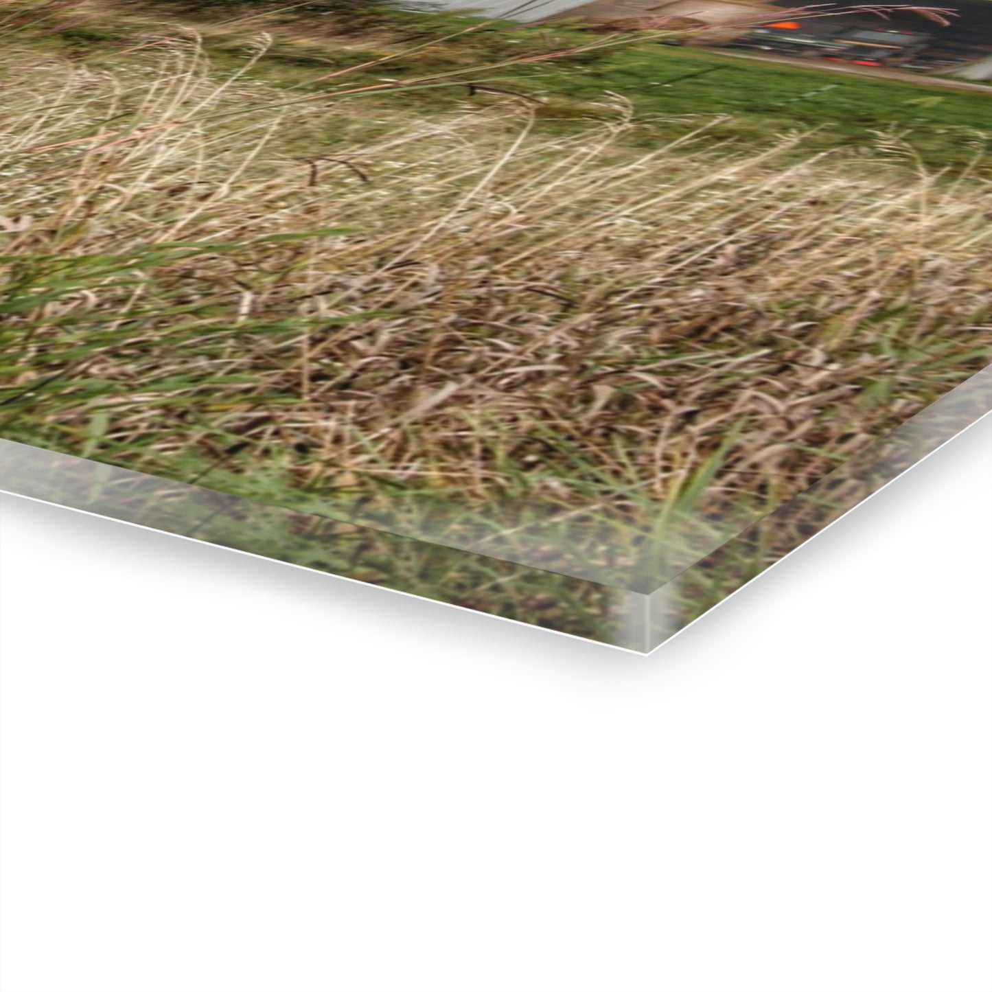 U R There Photography North Lake Road Red II Rustic Farmhouse Acrylic Wall Print