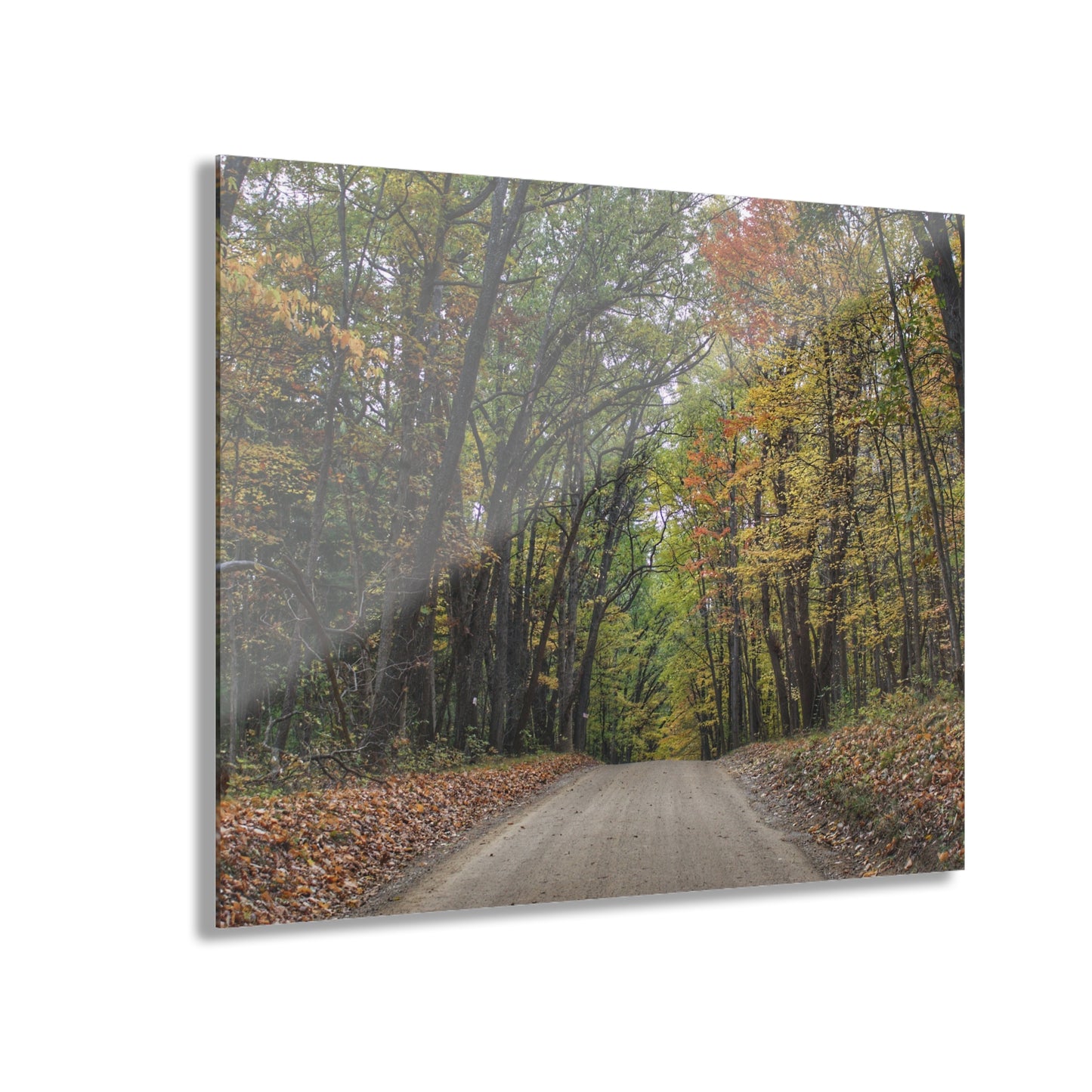U R There Photography Country Roads in Dryden III Rustic Farmhouse Acrylic Wall Print