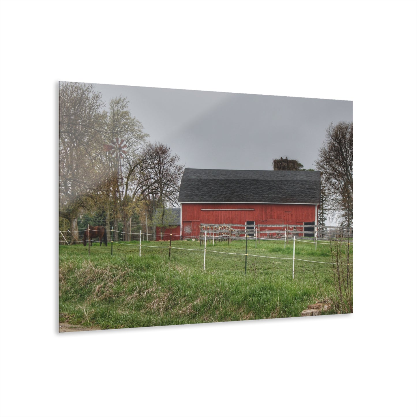 U R There Photography West Lake Road Farm and Filly II Rustic Farmhouse Acrylic Wall Print