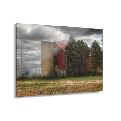 U R There Photography Laur Road Red Among the Pines II Rustic Farmhouse Acrylic Wall Print