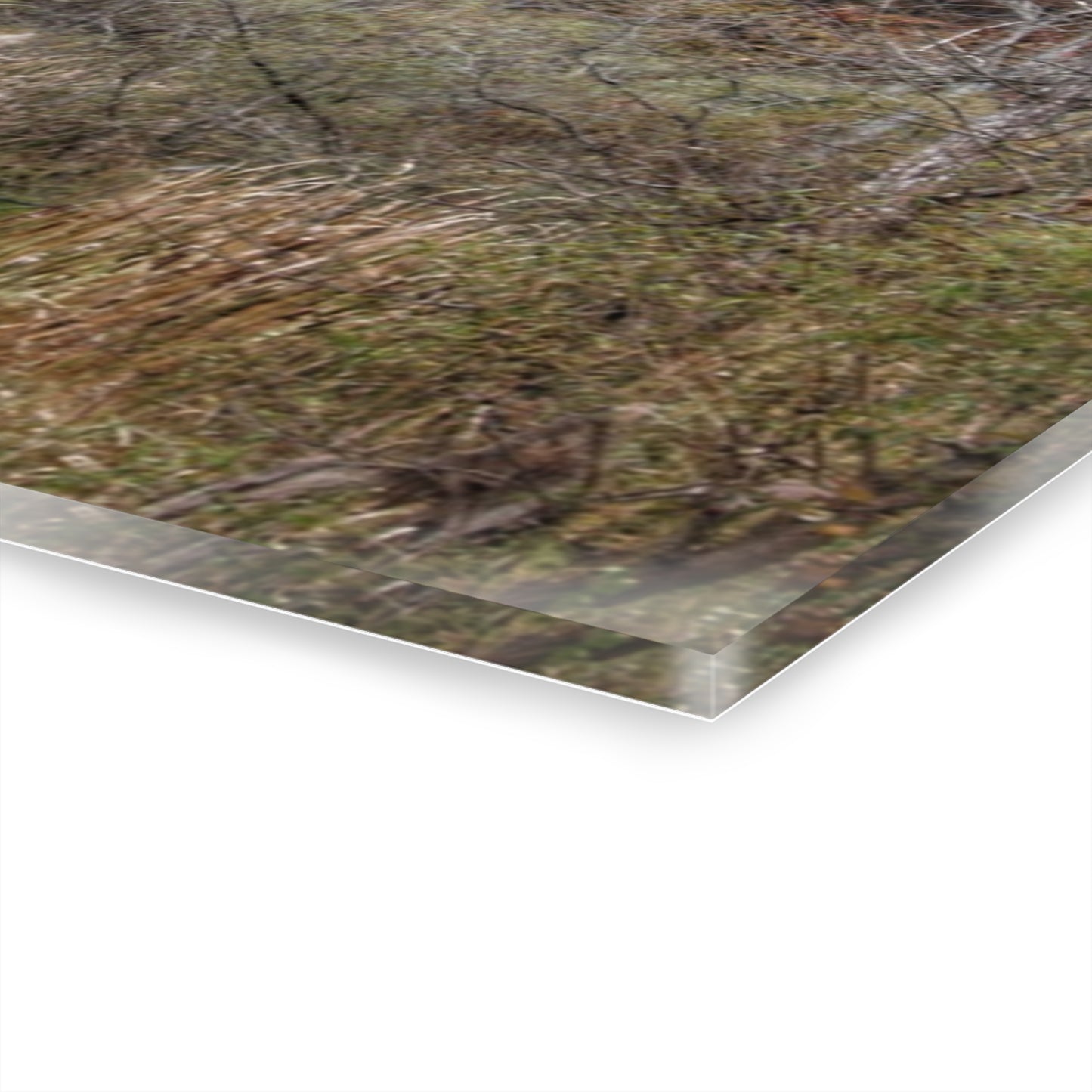U R There Photography Country Roads in Dryden I Rustic Farmhouse Acrylic Wall Print