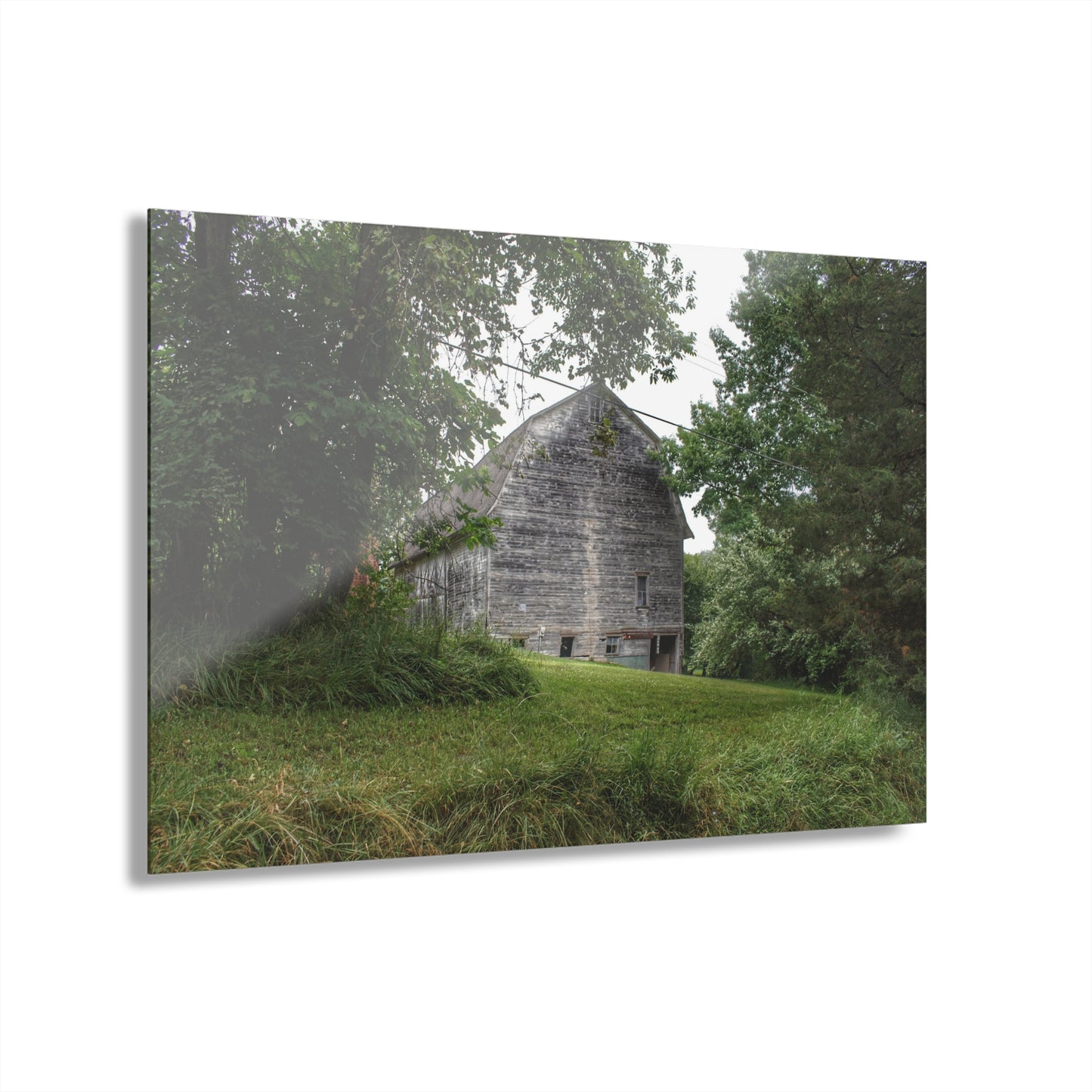 U R There Photography Snell Grey Rustic Farmhouse Acrylic Wall Print
