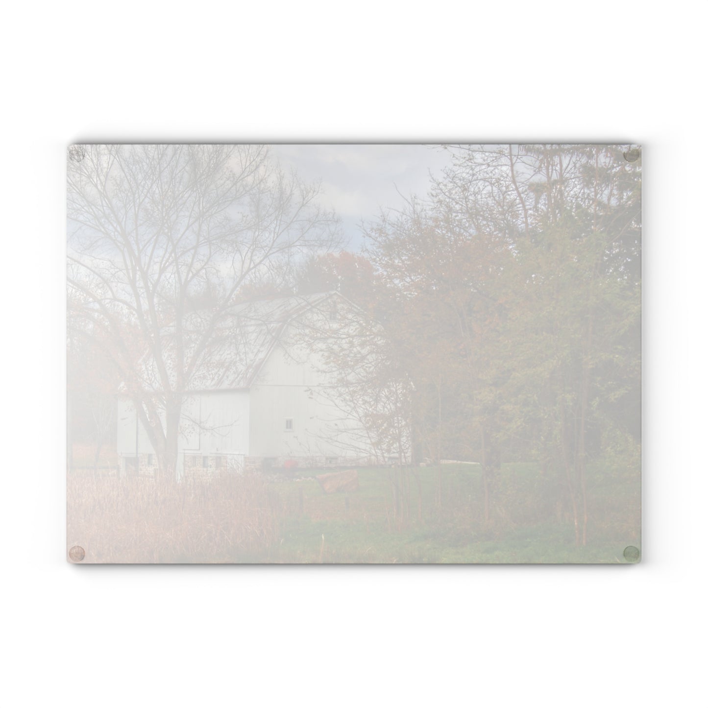 U R There Photography East Oakwood White Rustic Farmhouse Tempered-Glass Cutting Board