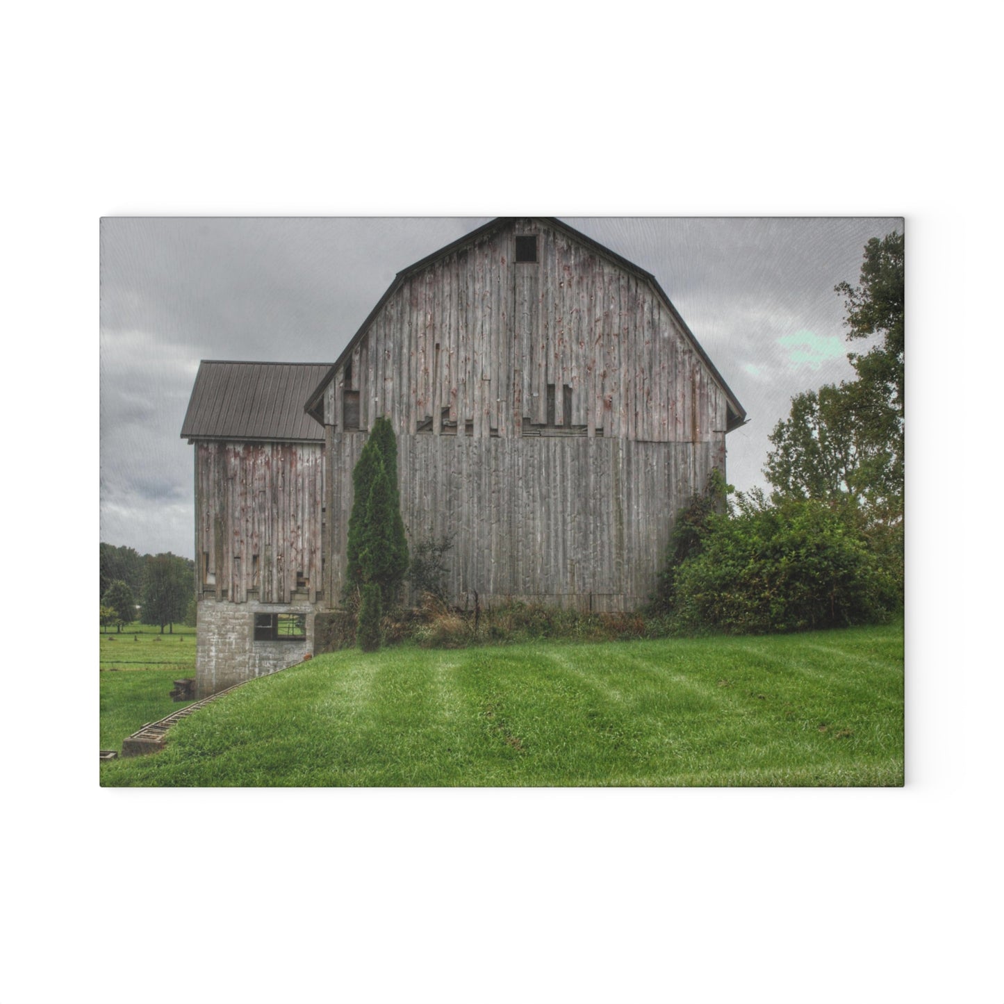 U R There Photography Dequindre Road Grey III Rustic Farmhouse Tempered-Glass Cutting Board