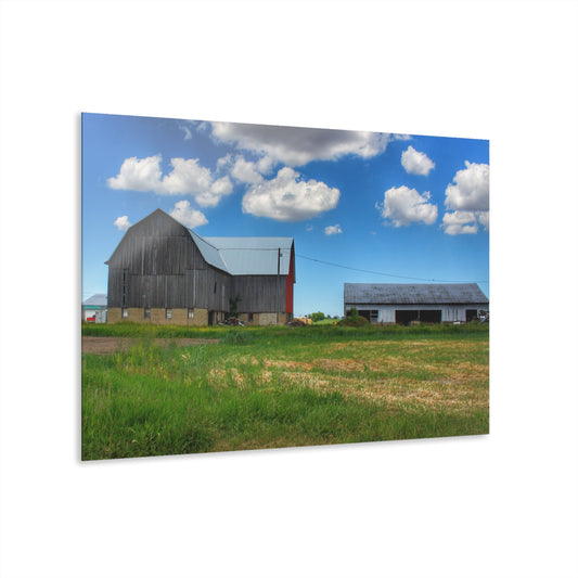 U R There Photography Cass City Elmwood Grey Rustic Farmhouse Acrylic Wall Print