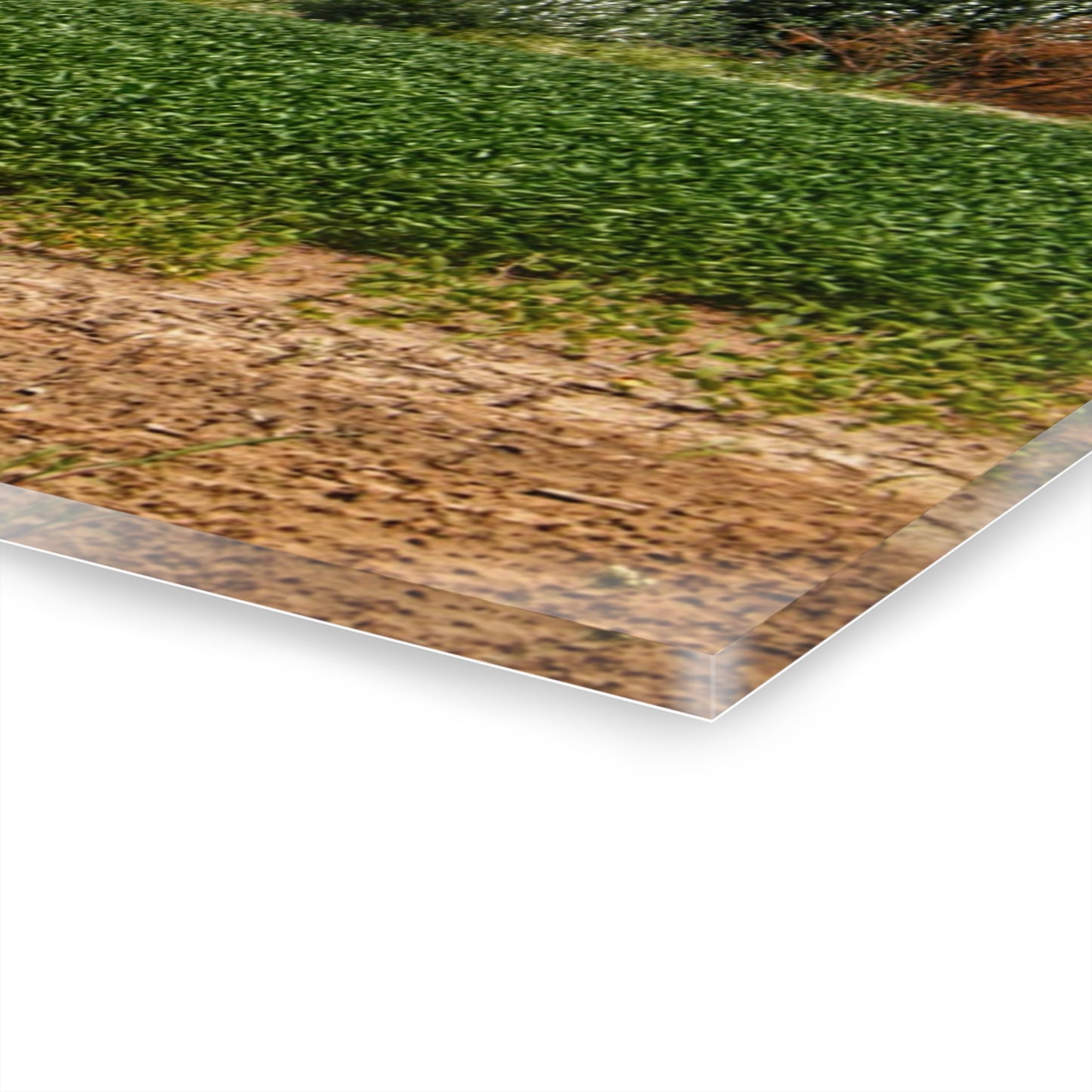 U R There Photography Lake Road Grey Rustic Farmhouse Acrylic Wall Print